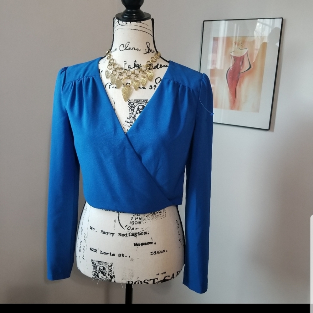 Long Sleeves Blouse V Neck Color Blue SIZE XS...